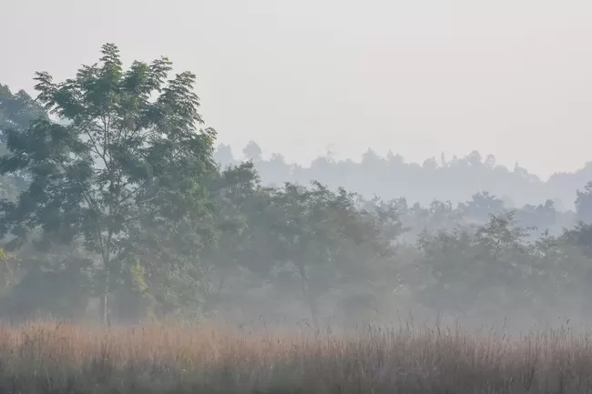 Photo of Valmiki Nagar, Bihar, India by Barun Raj