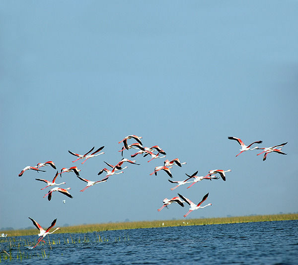 Photo of Gujarat, India by Travel+Leisure India & South Asia