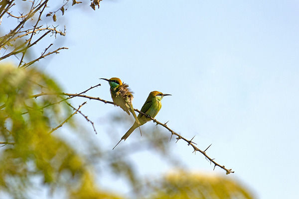 Photo of Vadhvana, Gujarat, India by Travel+Leisure India & South Asia