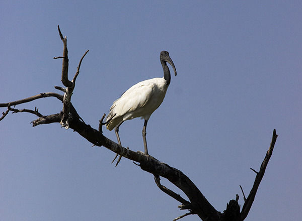 Photo of Vadhvana, Gujarat, India by Travel+Leisure India & South Asia