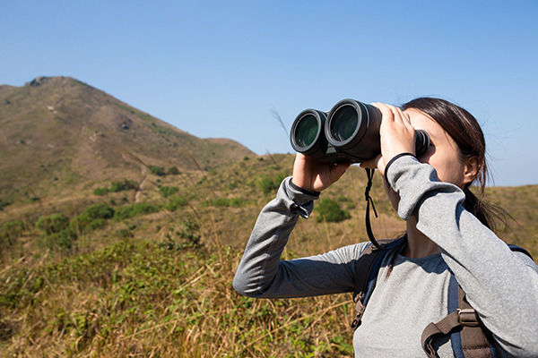 Photo of Jambughoda Wildlife Sanctuary, Panchmahal, Gujarat, India by Travel+Leisure India & South Asia