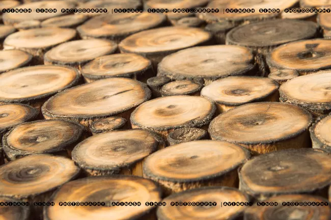 Photo of Dilli Haat, New Delhi, Delhi, India by Avinash Singh