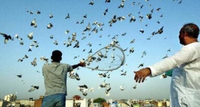 Photo of Old Delhi, New Delhi, Delhi, India by Debarati Dasgupta