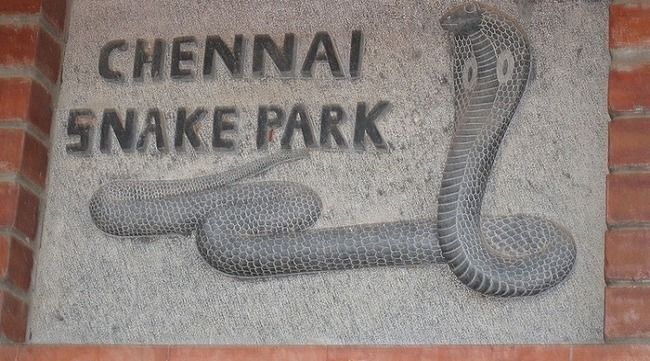 Photo of Chennai Snake Park, Chennai, Tamil Nadu, India by Prateek Dham
