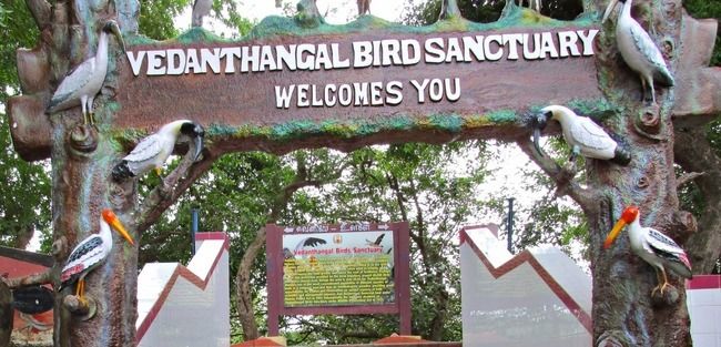 Photo of Vedanthangal Bird Sanctuary, Kanchipuram, Tamil Nadu, India by Prateek Dham