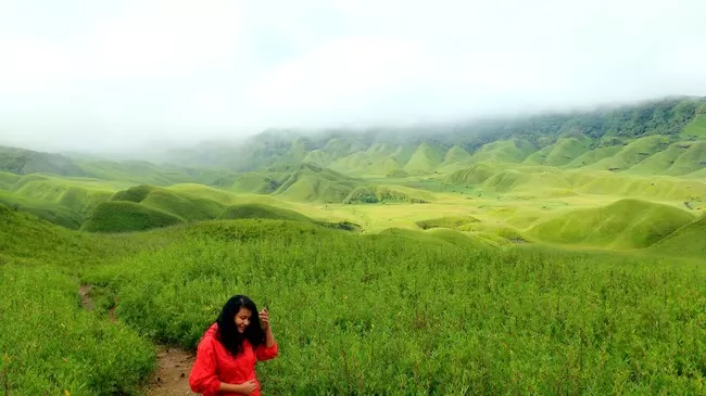 Photo of Hidden Terrains of Dzukou Valley in Nagaland by upasana kakati