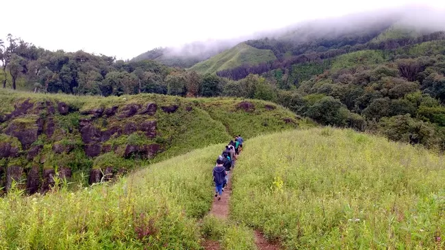 Photo of Hidden Terrains of Dzukou Valley in Nagaland by upasana kakati