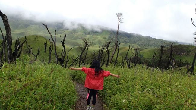 Photo of Hidden Terrains of Dzukou Valley in Nagaland by upasana kakati