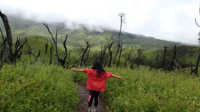 Photo of Hidden Terrains of Dzukou Valley in Nagaland by upasana kakati