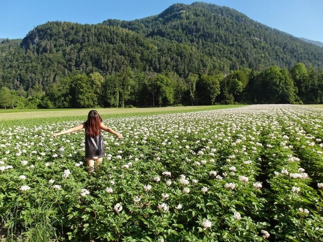 Photo of Travelling on a budget in Europe £2,500 by Lynette Tan