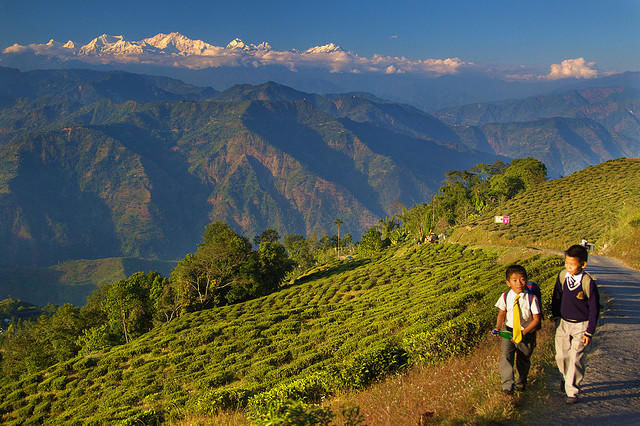 Photo of Darjeeling, West Bengal, India by Nikita Mandhani