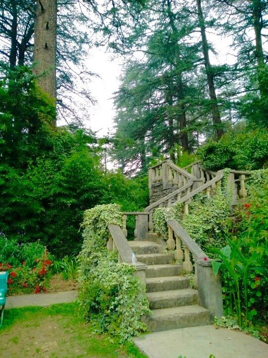 Photo of Shimla, Himachal Pradesh 171001, India by Prateek Dham