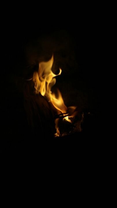 Photo of Rediscovery; Reincarnation. by Gunjan Patil