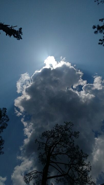 Photo of Rediscovery; Reincarnation. by Gunjan Patil