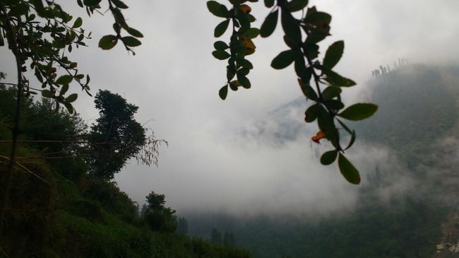 Photo of Rediscovery; Reincarnation. by Gunjan Patil