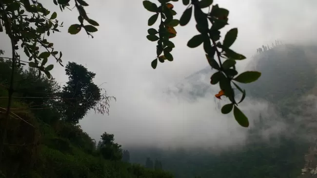 Photo of Rediscovery; Reincarnation. by Gunjan Patil