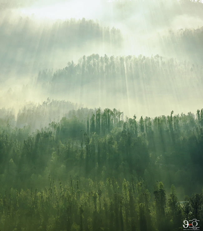 Photo of A morning above the clouds. by Jidhu Mg