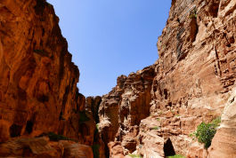 Photo of Jordan: Petra and Amman by Priyanka Banerjee
