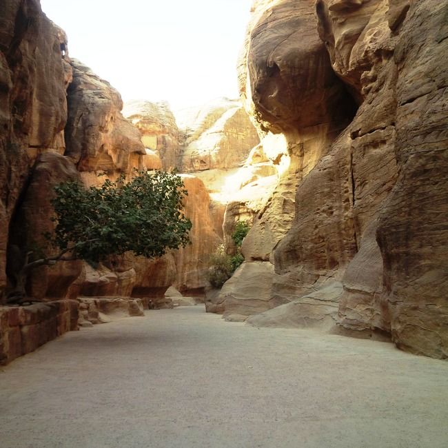 Photo of Petra, Petra District, Ma'an Governorate, Jordan by Neha Menezes