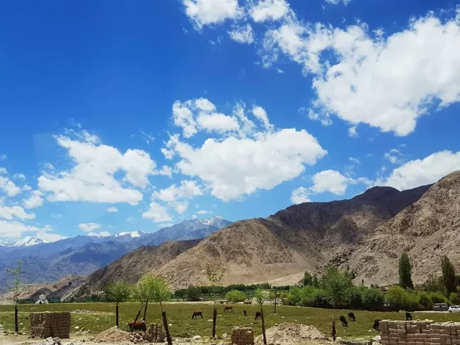 Photo of Tagste by Tanushree Patwa