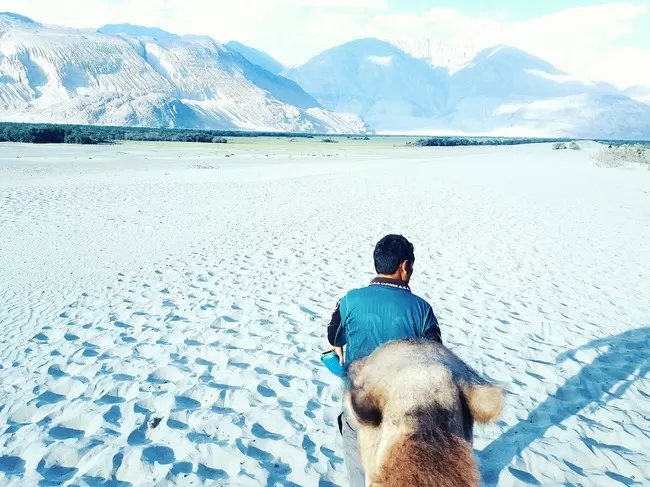 Photo of Hunder Sand Dunes by Tanushree Patwa