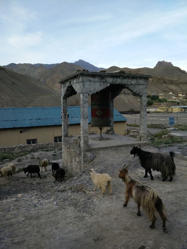 Photo of Kargil by Shruti Sidhan