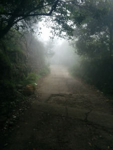 Photo of Edakkal Caves, Nenmeni, Kerala, India by Neha Ahlawat