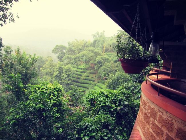 Photo of Vythiri, Kerala, India by Swagatika Priyadarshini