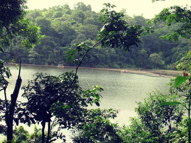 Photo of Pookode Lake, Kunnathidavaka, Kerala, India by Swagatika Priyadarshini