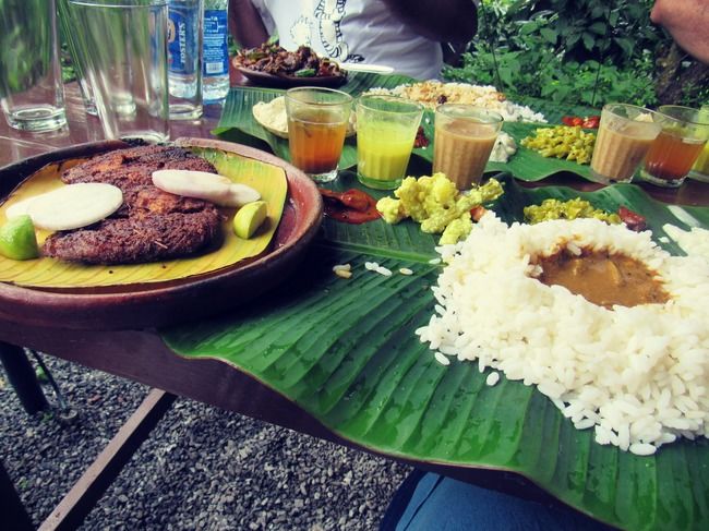 Photo of In the lap of Mother Nature – Wayanad by Swagatika Priyadarshini