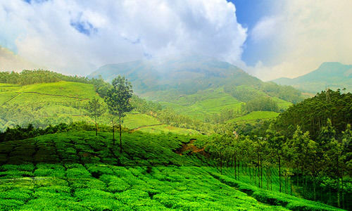 Photo of Wayanad, Kerala, India by Santhosh Kumar Gaikwad