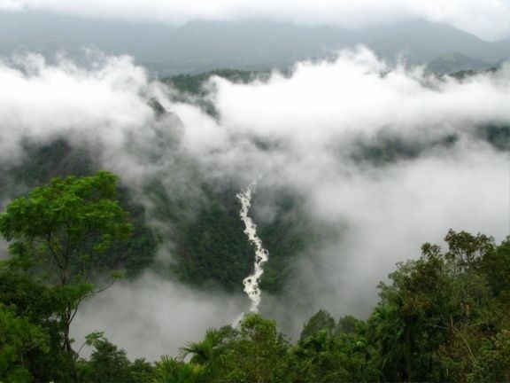 Photo of Wayanad, Kerala, India by Santhosh Kumar Gaikwad
