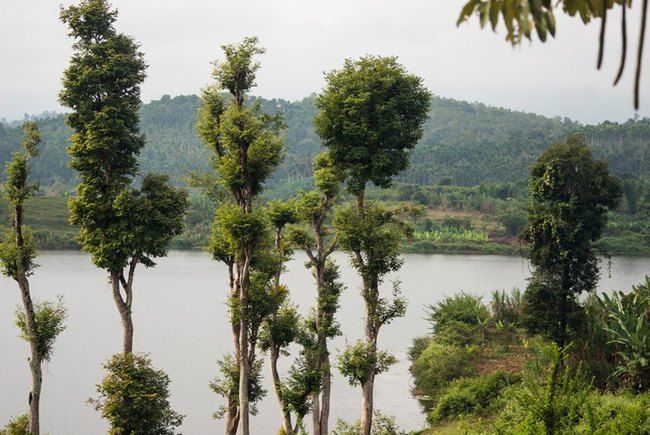 Photo of Wayanad, Kerala, India by Santhosh Kumar Gaikwad