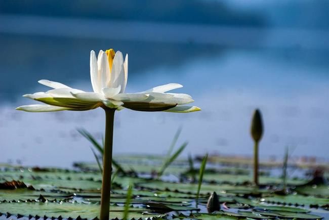 Photo of Wayanad, Kerala, India by Santhosh Kumar Gaikwad