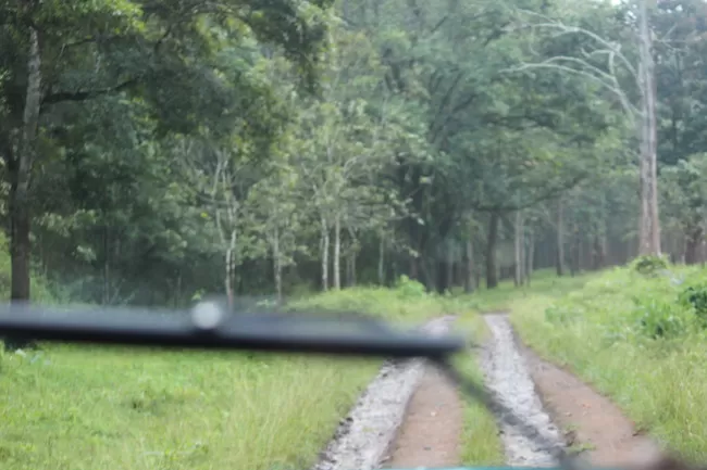 Photo of Edakkal Caves, Nenmeni, Kerala, India by Vrinda