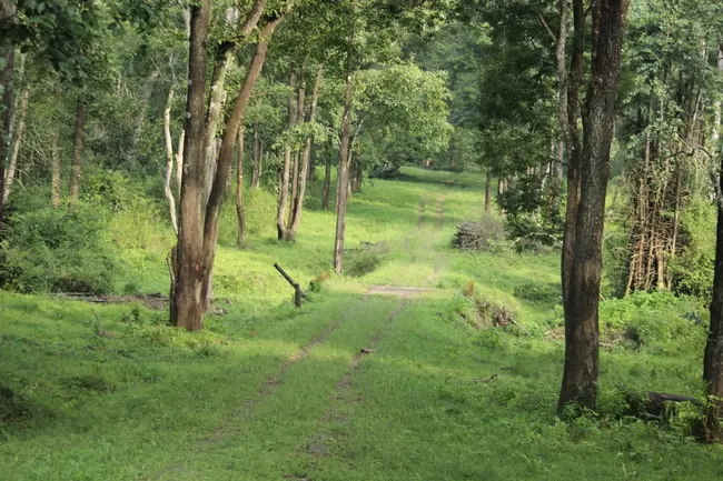 Photo of Edakkal Caves, Nenmeni, Kerala, India by Vrinda