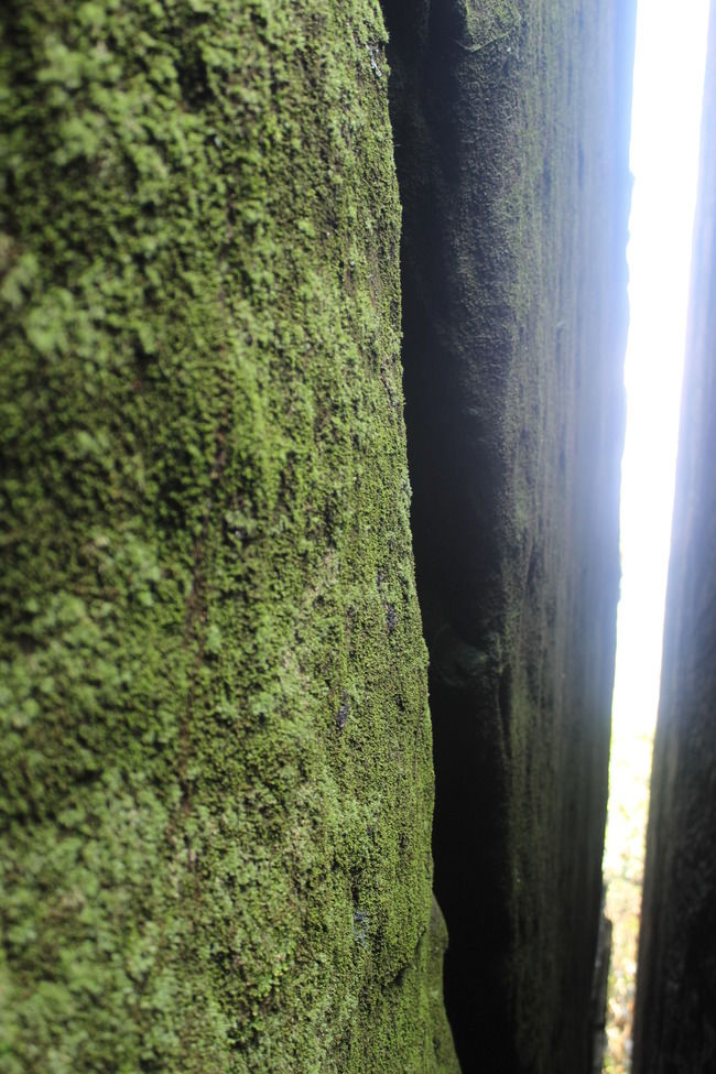 Photo of Edakkal Caves, Nenmeni, Kerala, India by Meghana Jambhe