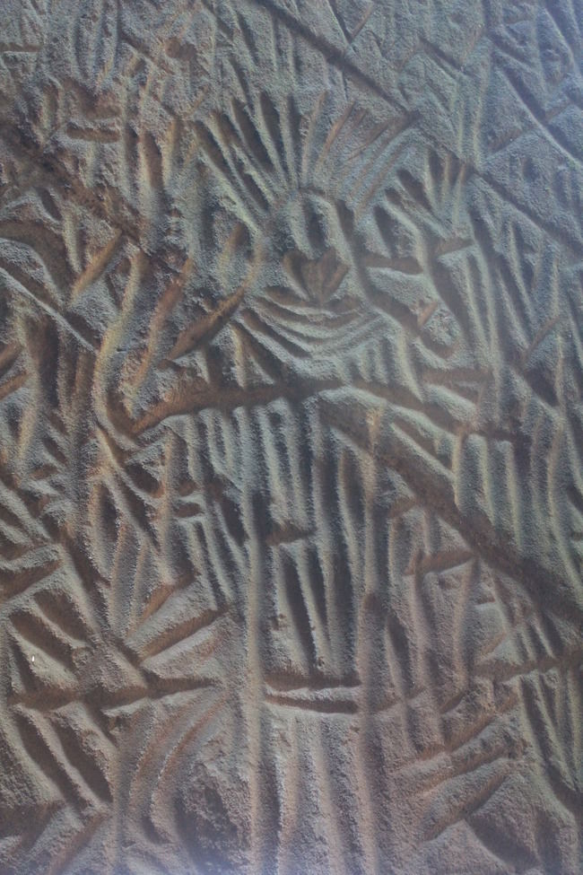 Photo of Edakkal Caves, Nenmeni, Kerala, India by Meghana Jambhe