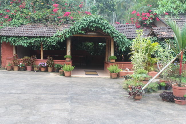 Photo of Wayanad: Where everyone feels at home by Meghana Jambhe