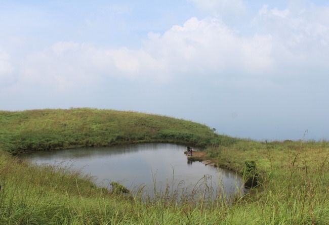 Photo of Wayanad: Where everyone feels at home by Meghana Jambhe