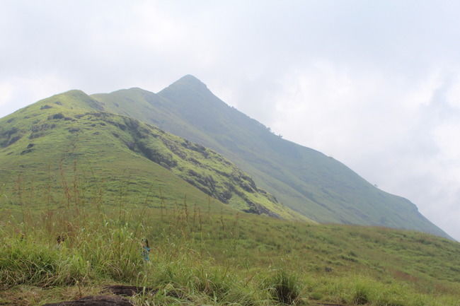 Photo of Wayanad: Where everyone feels at home by Meghana Jambhe