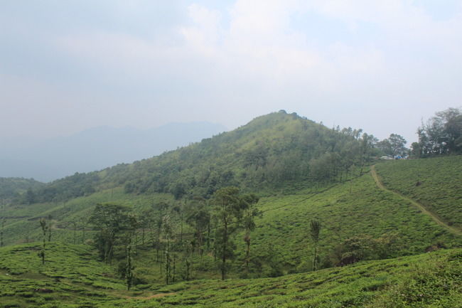 Photo of Wayanad: Where everyone feels at home by Meghana Jambhe