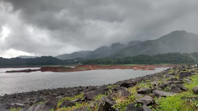 Photo of Rejuvenating trip to Wayanad (Kerela) by Megha Goel