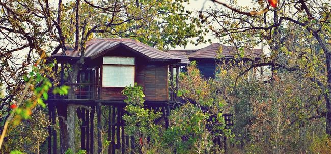 Photo of This Place In India Will Perfectly Sum Up Every 90's Kid's Mowgli Obsession by Sreshti Verma