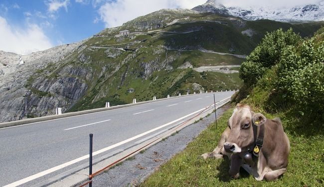 Photo of Furka Pass, Obergoms, Switzerland by Priyam Bagga