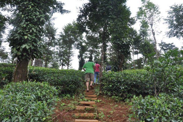 Photo of Wayanad- The Land of Collective Beauty in Kerala by Purnima Manhas