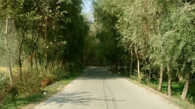 Photo of A Roadtrip to Ladakh - Part 2 by rysha hamza