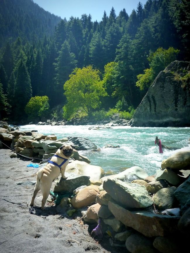 Photo of A Roadtrip to Ladakh - Part 2 by rysha hamza