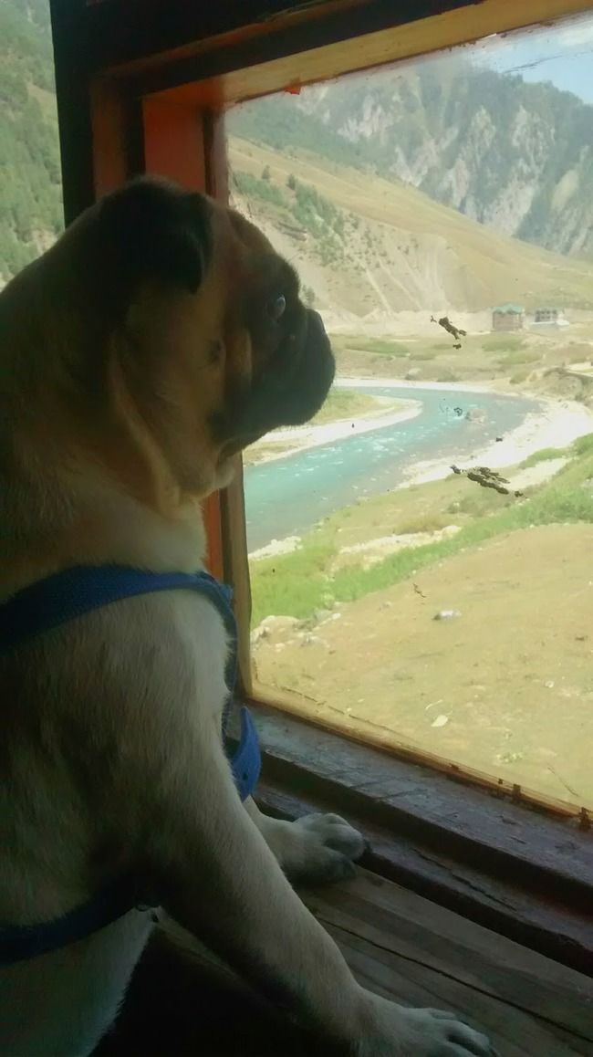 Photo of A Roadtrip to Ladakh - Part 2 by rysha hamza