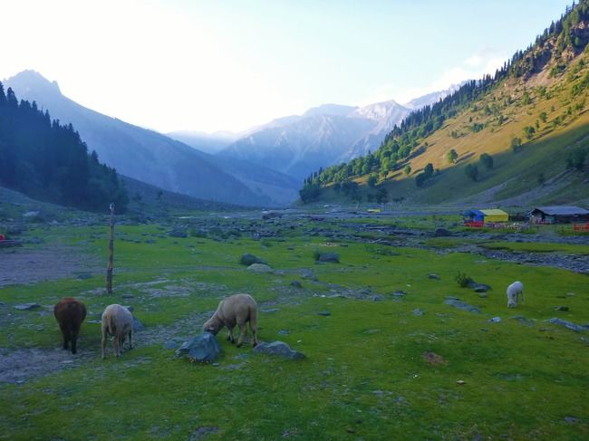 Photo of A Roadtrip to Ladakh - Part 2 by rysha hamza